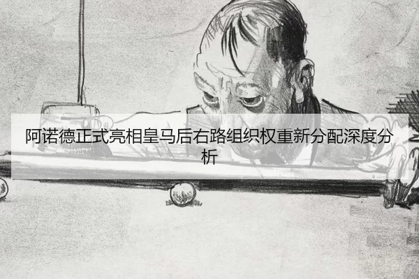 a-nuo-de-zheng-shi-liang-xiang-huang-ma-hou-you-lu-zu-zhi-quan-zhong-xin-fen-pei-shen-du-fen-xi-2-295.jpg